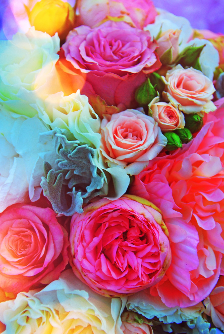 75-2 Pack de 2 Tableaux d'art Roses