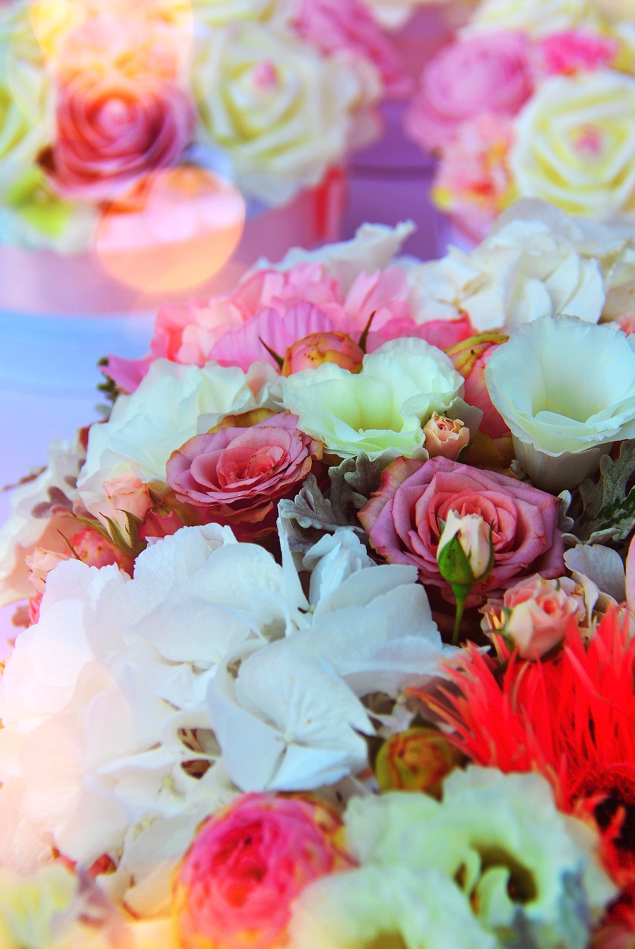 752-1 Pack de 2 Tableaux d'art Roses